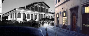 Brilli L'angolo del Mercato