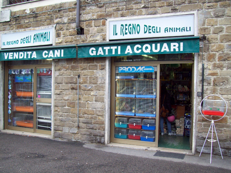 il regno degli animali