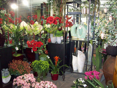 i fiori di laura