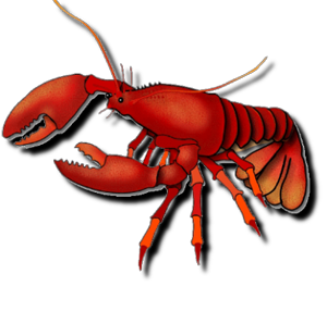 Pescheria Moreno