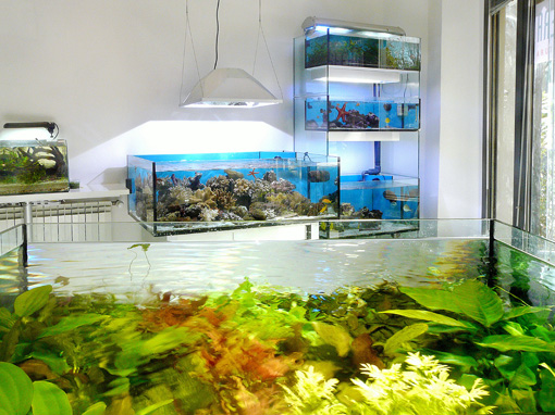BIOSFERA