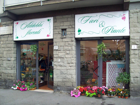 Fiori di Popi